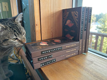 Load image into Gallery viewer, LIMITED TIME STEAL! Notebook packs
