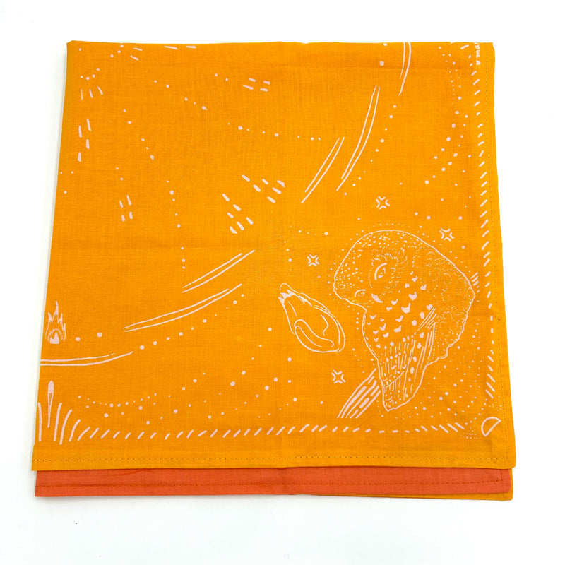 MY FRIEND FIRE READING CLOTH - DOUBLE SIDED!