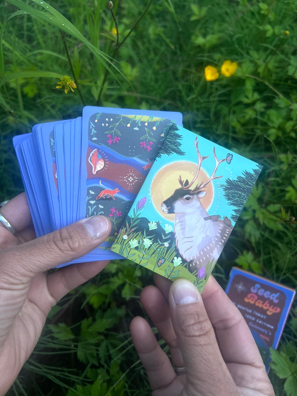 Seed Baby! 100 Deck Early Release