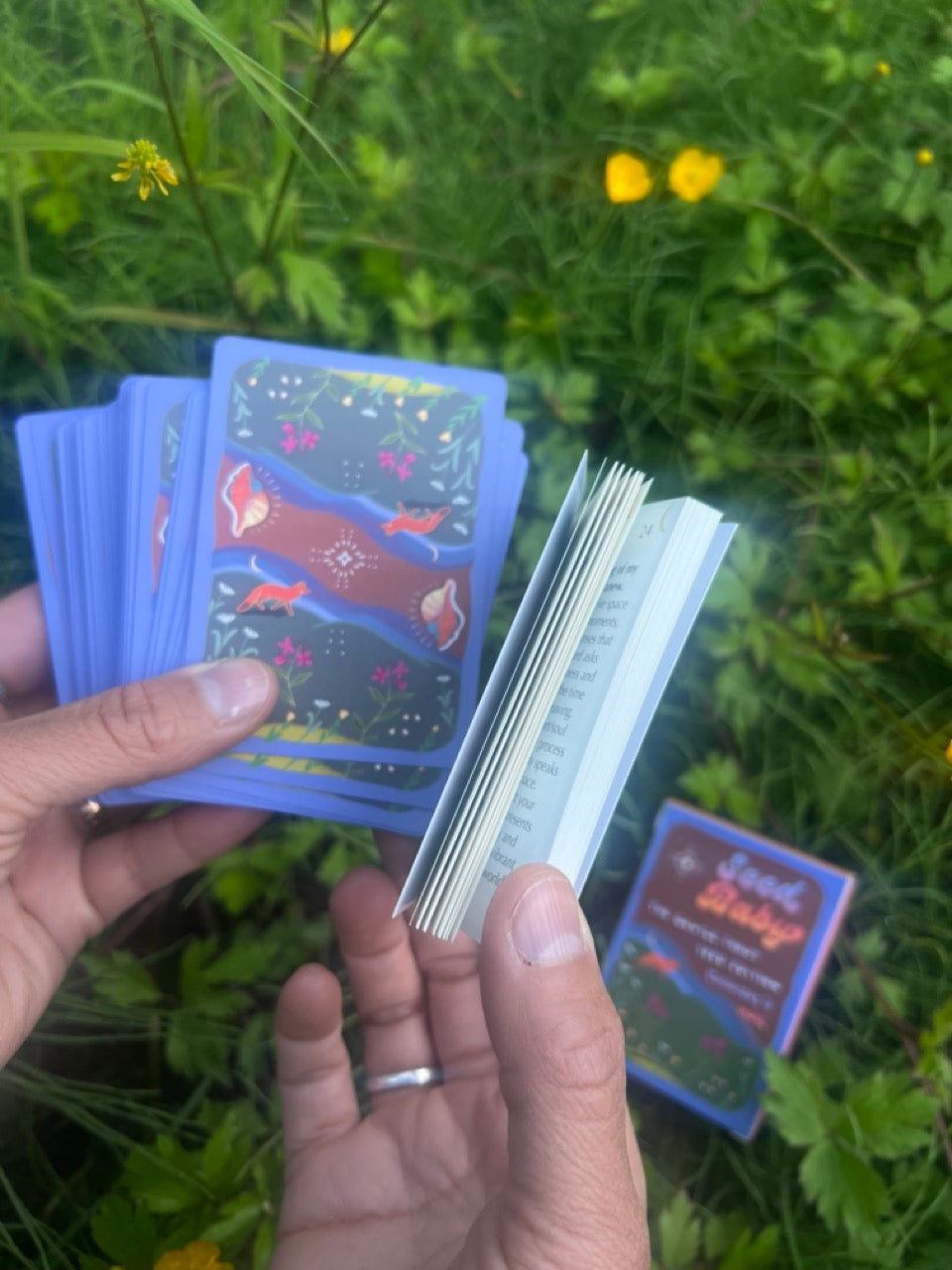 Seed Baby! 100 Deck Early Release