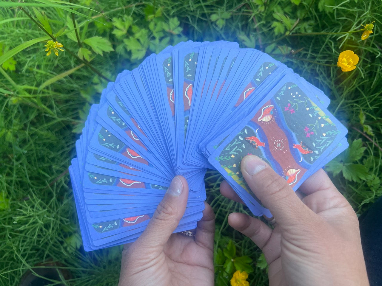 Seed Baby! 100 Deck Early Release