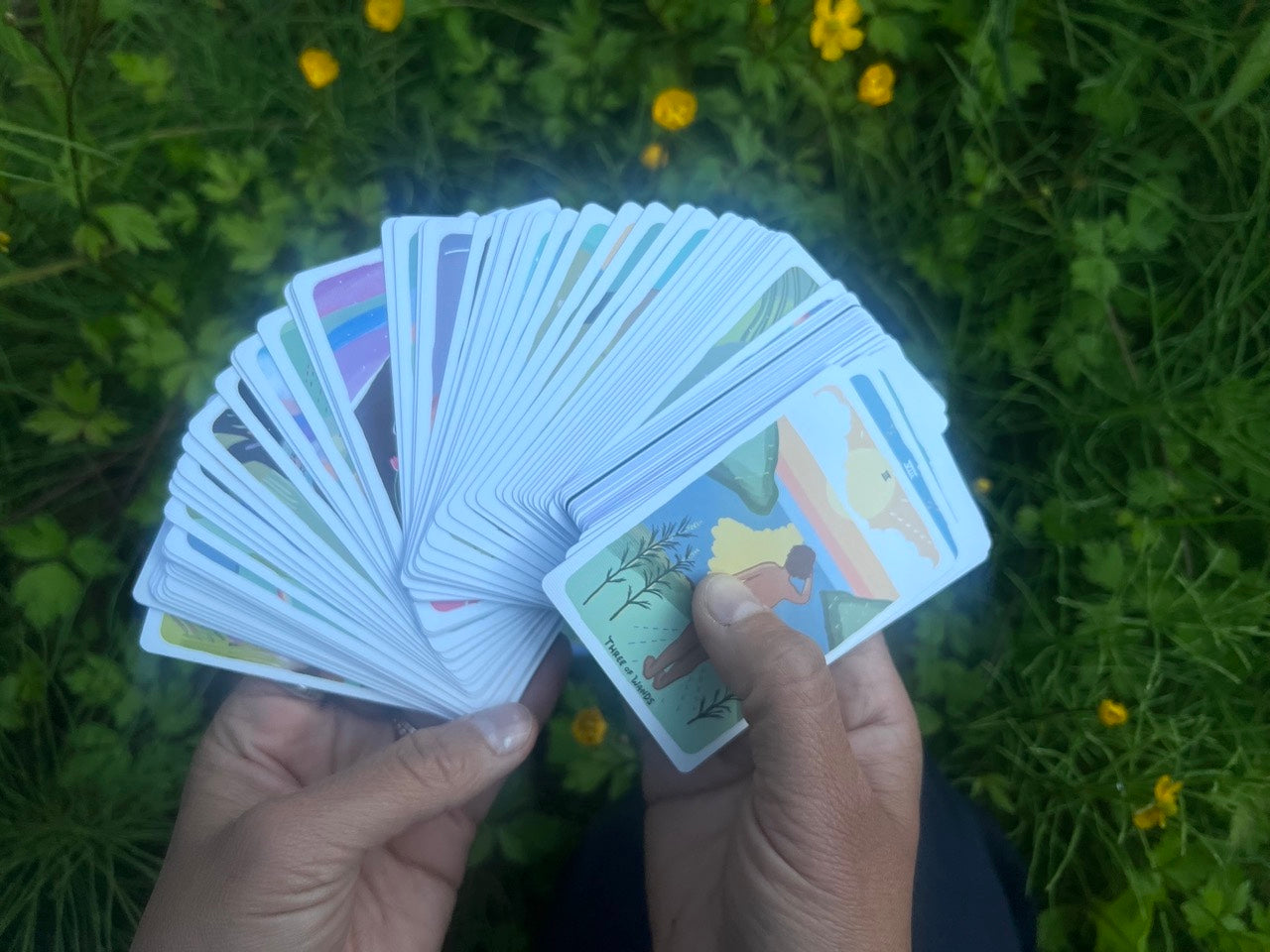 Seed Baby! 100 Deck Early Release