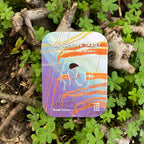 30% OFF FLASH SALE - THE GENTLE TAROT POCKET DECK