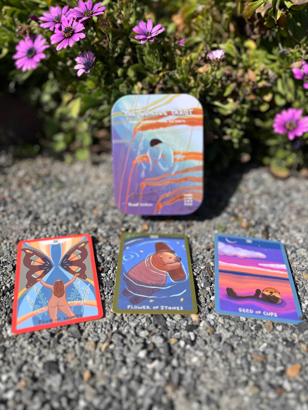 POCKET DECK GIFT SET!
