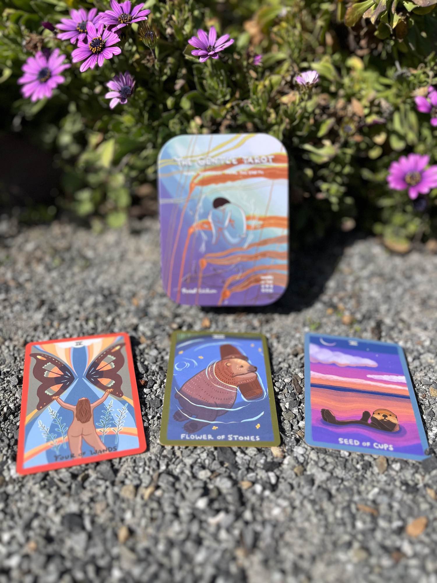 POCKET DECK GIFT SET!