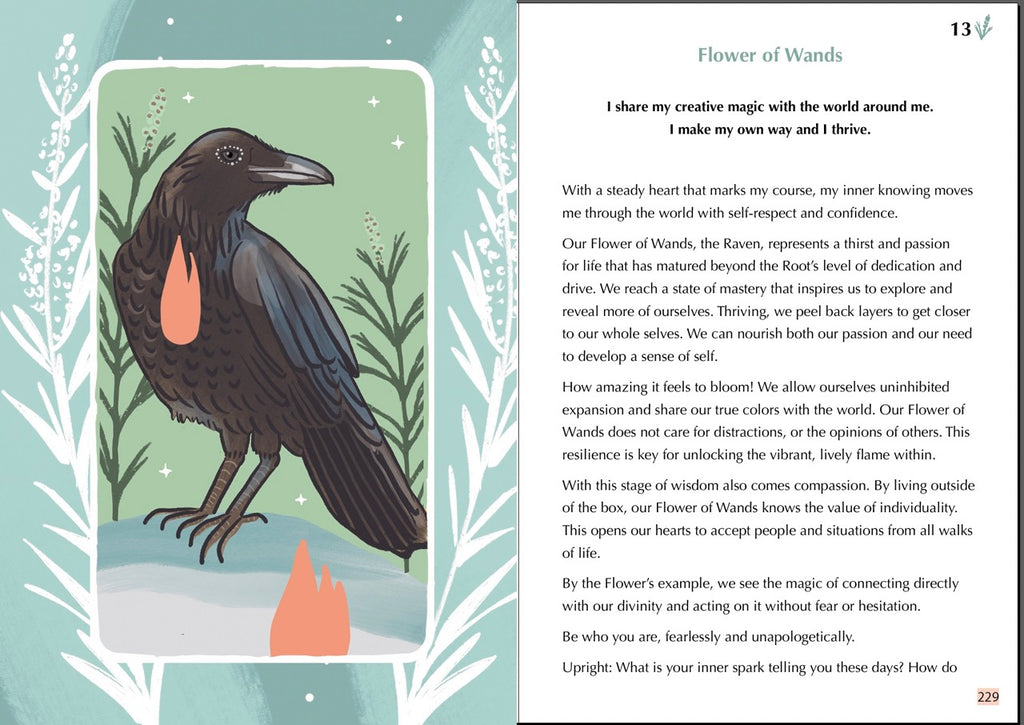 PRE-ORDER GENTLE TAROT GUIDEBOOK SECOND EDITION