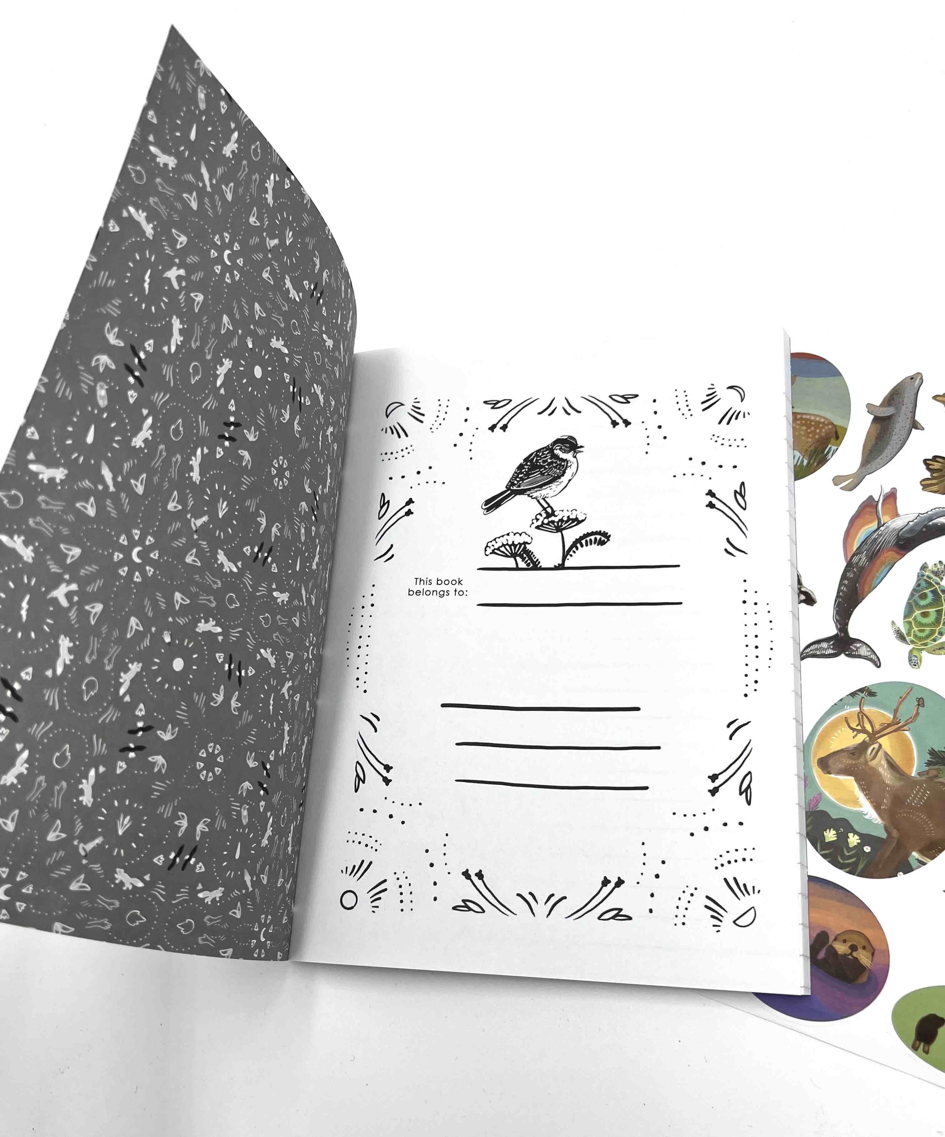 JOURNALS!