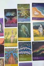 SONG OF THE GRANDMOTHERS ORACLE